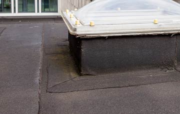 disadvantages of Binbrook flat roofs