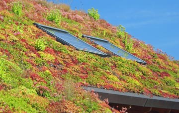 Binbrook living roof systems